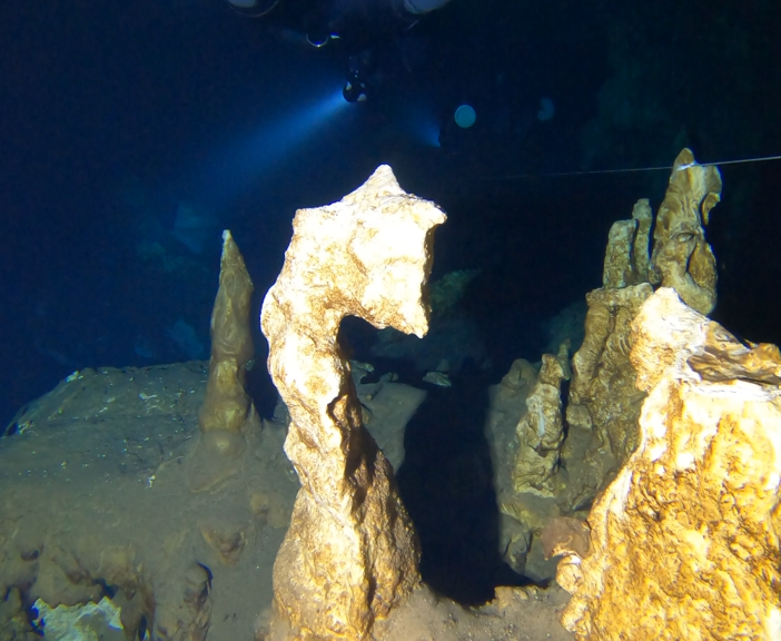 Seepferdchen in Mayan Blue Tunnel B